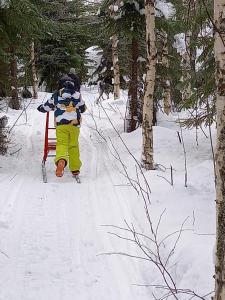 Το Metsälä τον χειμώνα