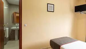 um quarto de hotel com uma cama e um lavatório em HOSTAL-RESTAURANTE EL PAISANO em Guadalema de los Quinteros