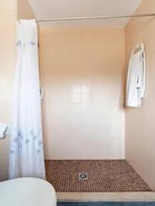 y baño con aseo y ducha con cortina de ducha. en HOSTAL-RESTAURANTE EL PAISANO, en Guadalema de los Quinteros