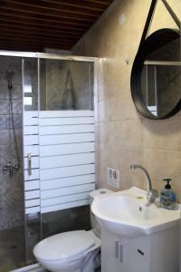 uma casa de banho com um WC, um lavatório e um espelho. em Apartment Colibri em Veliko Tarnovo