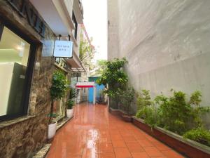 河內的住宿－Tien Minh Hotel 113 Le Thanh Nghi，楼边有盆栽的小巷