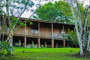 una casa de madera con terraza en el bosque en The Log Cab-Inn, en San Ignacio
