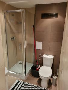 een badkamer met een douche, een toilet en een dweil bij Apartament Leon in Wałbrzych