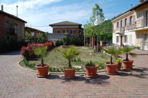 una fila de macetas en un patio en CASA FRUSCIONE, en Magliano Alfieri