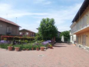 a courtyard with a bunch of pots of flowers at CASA FRUSCIONE in Magliano Alfieri