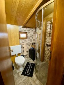 a bathroom with a toilet and a glass shower at Ruralna kuća za odmor Klet Karas in Kozarevac