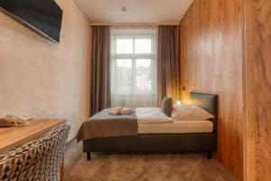 Afbeelding uit fotogalerij van Hotel Lípa in Dolní Lipová +33 foto's