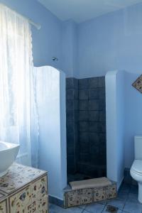 a blue bathroom with a toilet and a sink at VILLA HORIZON, PORTIANOU in Pedhinón