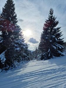 Les Randogodilleurs avec Jacuzzi à 2kms des pistes et 350m du Théatre du Peuple ! v zime