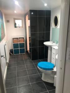 a bathroom with a toilet and a sink and a shower at The Old Laundry in Rye