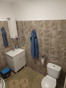 a bathroom with a toilet and a sink at Ubytování U Janičky in Klíny