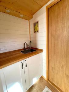 Kuchyň nebo kuchyňský kout v ubytování Tiny house with garden and jacuzzi near Amsterdam