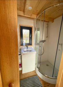 a bathroom with a sink and a shower at Tiny house with garden and jacuzzi near Amsterdam in Vijfhuizen