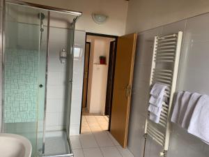 y baño con ducha y ducha acristalada en la puerta trasera. en Penzión Pegas, en Bratislava