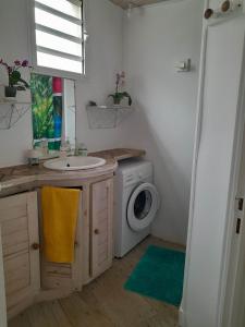 a bathroom with a sink and a washing machine at Chalet PLEINSUD in Le Tampon