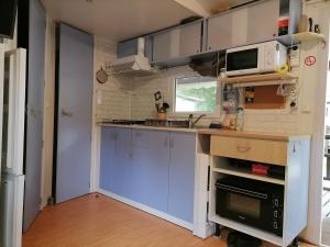 a small kitchen with a sink and a microwave at mobil home dans camping 3 etoiles mas de lastourg avec piscine,snack, in Villefranche-de-Conflent