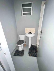 a small bathroom with a toilet and a sink at Cosy Apartment next to Maboneng in Johannesburg