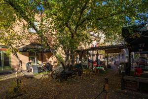 Un albero in mezzo a una strada di Reimersholme Hotel a Stoccolma