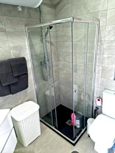 a shower with a glass door in a bathroom at APARTAMENTOS ELEMAR free luggage storage in Málaga