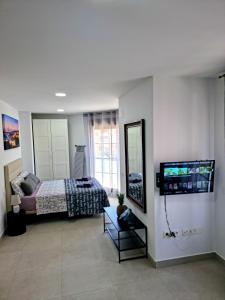 a bedroom with a bed and a tv in it at APARTAMENTOS ELEMAR free luggage storage in Málaga
