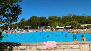 a group of people in a swimming pool at Easyatent Mobile home Zelena Laguna in Poreč