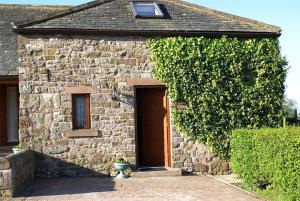 a stone house with a large ivy growing around it at Gill Cottage, Castle Carrock, Nr Carlisle in Castle Carrock
