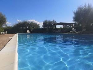 a large blue swimming pool in a yard at Ryan Apartment in Passignano sul Trasimeno