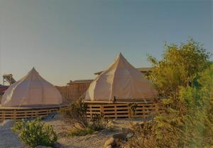コキンボにあるTotoralillo Glampingの砂漠の砂浜に座るテント2つ