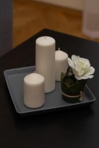 trzy świece i biały kwiat na talerzu w obiekcie Karmelicka City Studio Apartment by Renters w Warszawie
