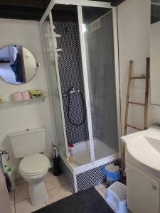 ein Badezimmer mit Dusche, Toilette und Waschbecken in der Unterkunft Appartement 100 mètres plage avec parking privé in Le Barcarès