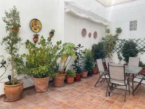 Zahrada ubytování Casa Rural Almécija
