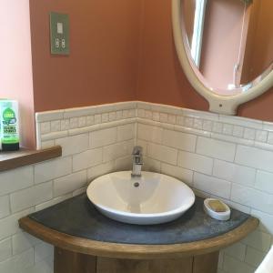 a bathroom with a sink and a mirror at Farmhouse B&B in Saint-Georges