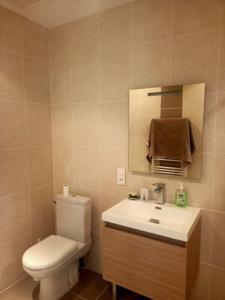 ein Badezimmer mit einem WC, einem Waschbecken und einem Spiegel in der Unterkunft Le clos du pin in Thèzan-lès-Béziers