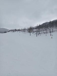 a group of birds standing on a snow covered field at Maison Romina in Limone Piemonte