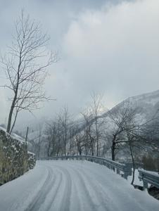 a snow covered road with a bridge and trees at Maison Romina in Limone Piemonte
