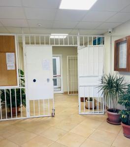 Billede fra billedgalleriet på Hostel 29 i Sofia