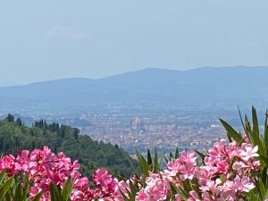 un ramo de flores rosas en la cima de una montaña en Florence Villa Violetta, en Bagno a Ripoli