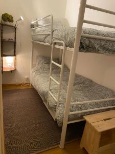 a room with a bunk bed and a ladder at Newly Renovated Ground Floor Apartment close to Thermes in Luchon