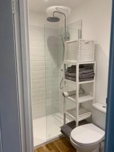 ein Bad mit einer Dusche, einem WC und einer Glastür in der Unterkunft Walnut Lodge, Timberland in Martin
