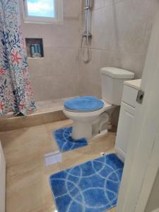 a bathroom with a toilet and a shower and blue rugs at The Hide Away in Nassau