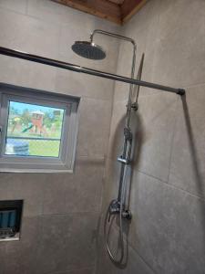 a shower in a bathroom with a window at The Hide Away in Nassau