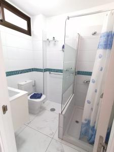 uma casa de banho com um chuveiro e um WC. em Monolocale Luna in Costa Adeje cerca del mar em Playa de las Americas