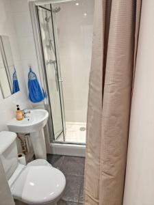 Un baño con ducha, inodoro y lavabo. en Converted Mill Apartment, en Mánchester
