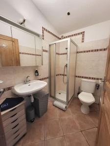 a bathroom with a toilet and a shower and a sink at U caseddu in Santa-Maria-Siché