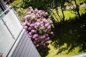 Fotografie z fotogalerie ubytování Wohnung 3 Levke ID 112 v destinaci Sankt Peter-Ording