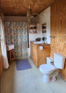 a bathroom with a toilet and a sink at Casa del río in Cochrane