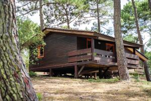 eine Hütte im Wald mit einem Baum in der Unterkunft Résidence les Sentes in Carcans