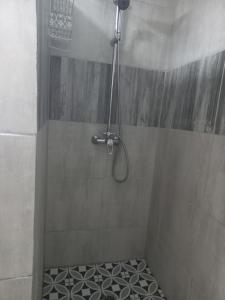 a shower with a shower head in a bathroom at I Could Live Here - guest house in Sedgefield