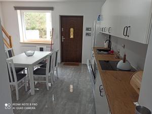 Kuchyňa alebo kuchynka v ubytovaní Apartameny Wiktoria i Nikola w Karwiku
