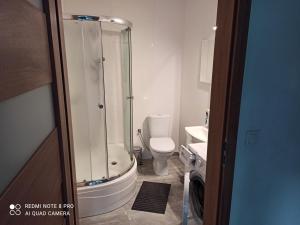 y baño con ducha y aseo. en Apartameny Wiktoria i Nikola w Karwiku en Pisz